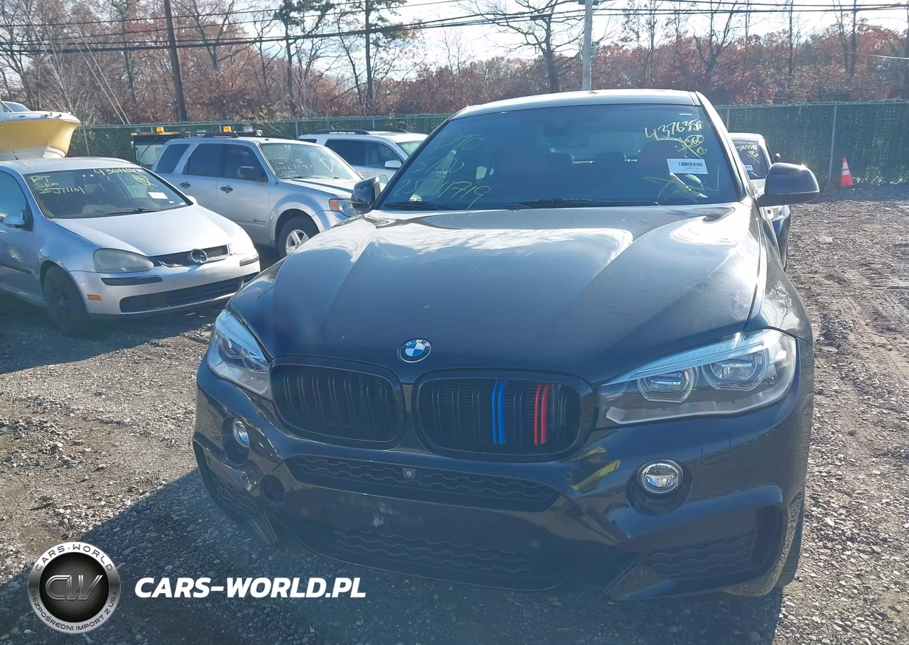 2017 BMW X6 xDrive35I VIN:5UXKU2C3XH0U29185 - 12