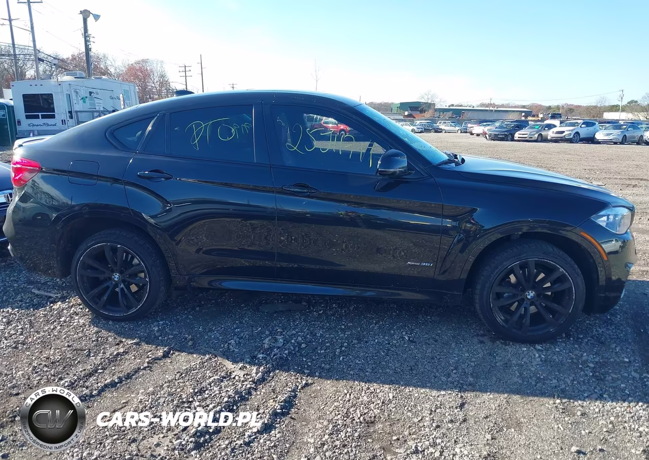 2017 BMW X6 xDrive35I VIN:5UXKU2C3XH0U29185 - 13