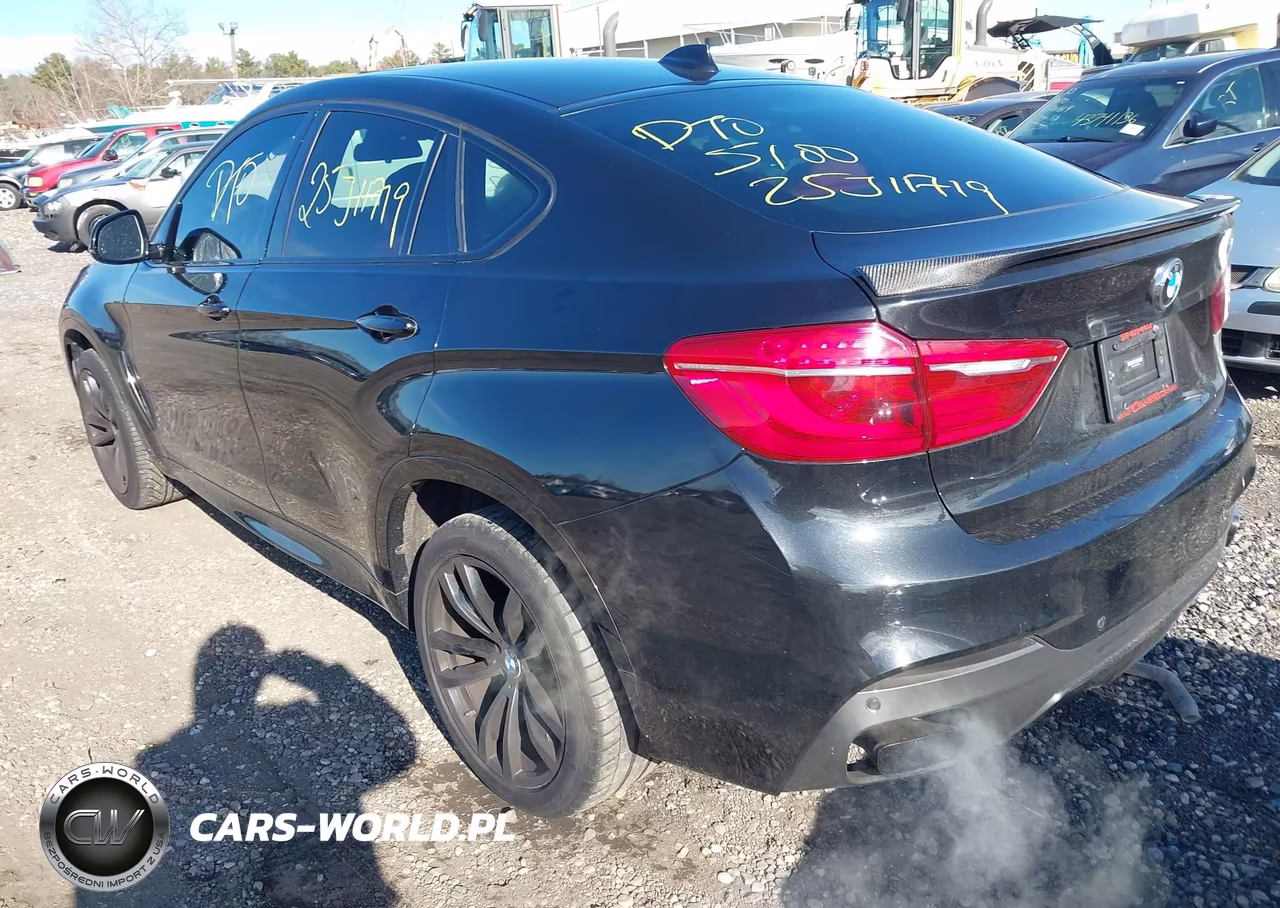 2017 BMW X6 xDrive35I VIN:5UXKU2C3XH0U29185 - 3