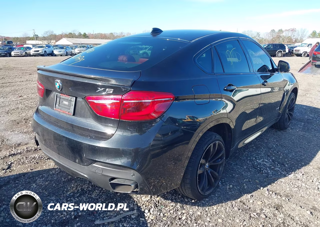 2017 BMW X6 xDrive35I VIN:5UXKU2C3XH0U29185 - 4