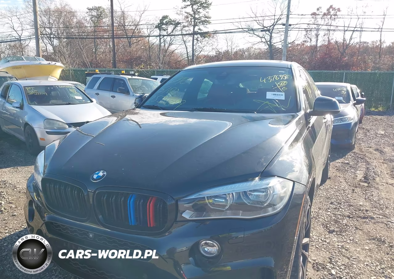2017 BMW X6 xDrive35I VIN:5UXKU2C3XH0U29185 - 6