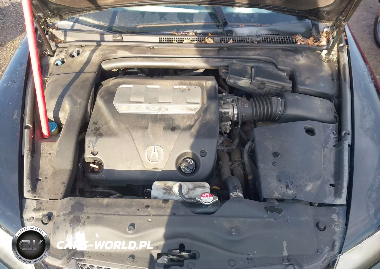 2008 Acura Tl 3.2 VIN:19UUA66208A000002 - 10