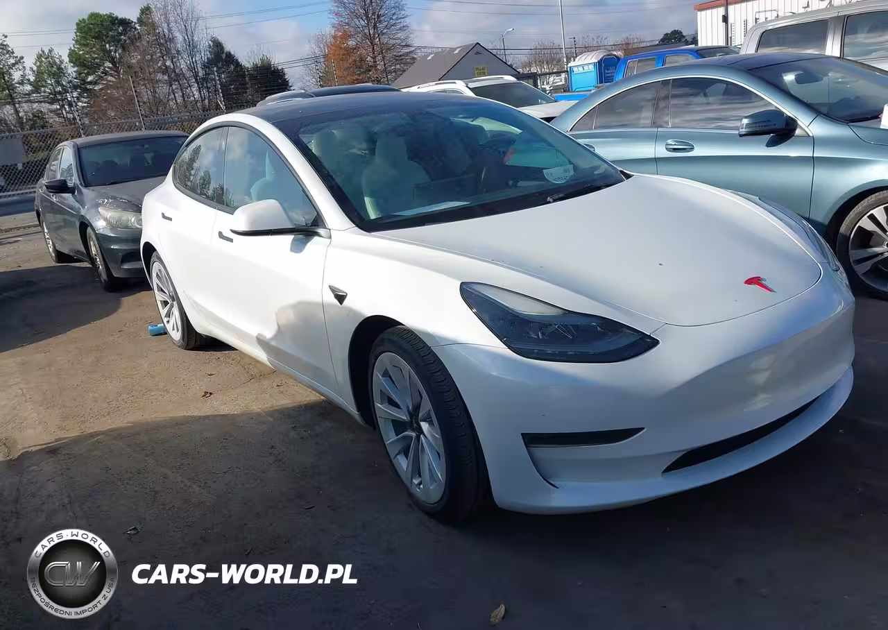2023 Tesla Model 3 Rear-Wheel Drive
