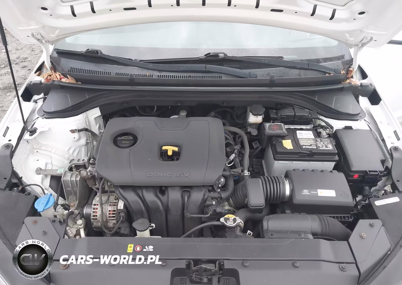 2019 Hyundai Elantra Se VIN:5NPD74LF2KH480858 - 10