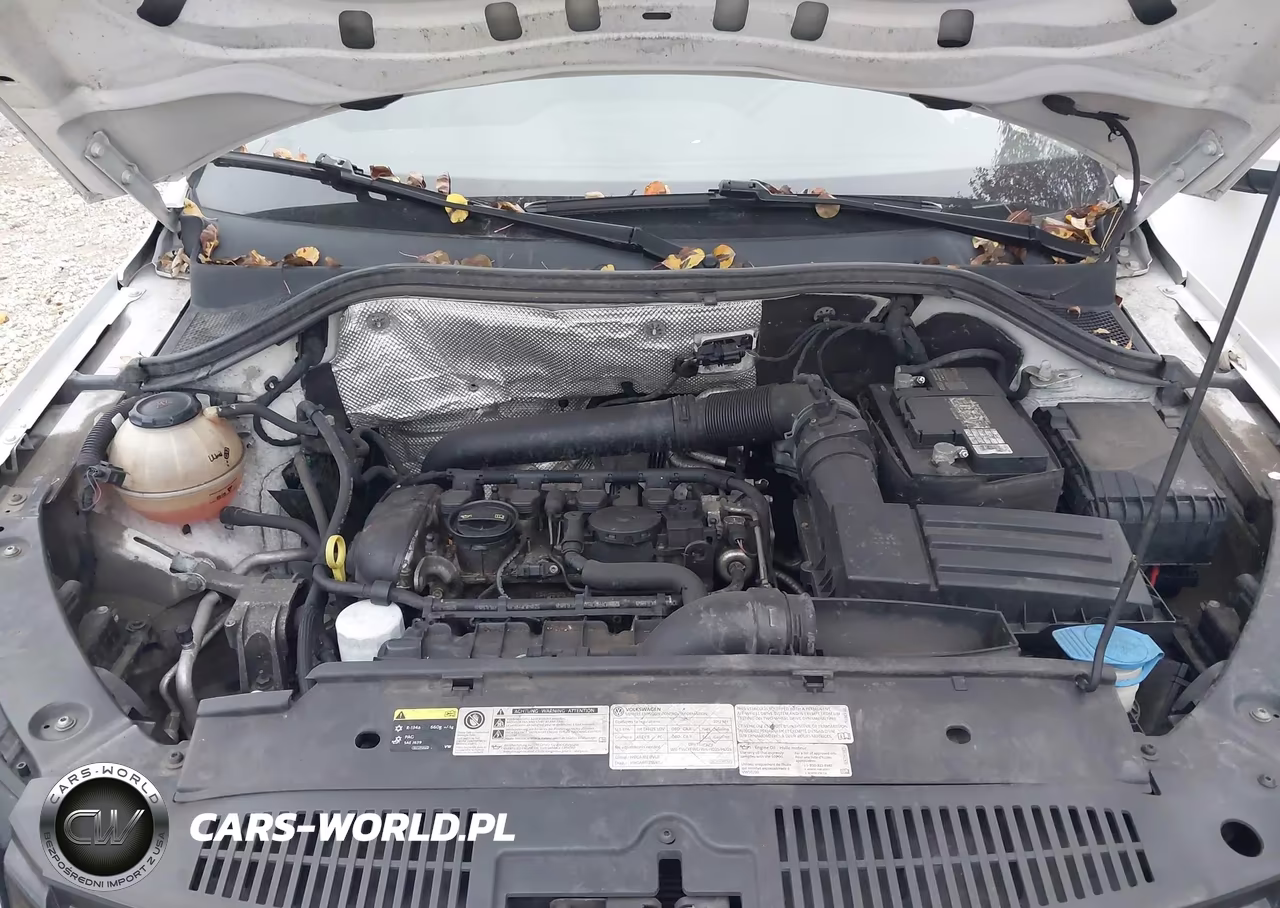 2017 Volkswagen Tiguan 2.0T-2.0T S VIN:WVGBV7AX8HK047237 - 10