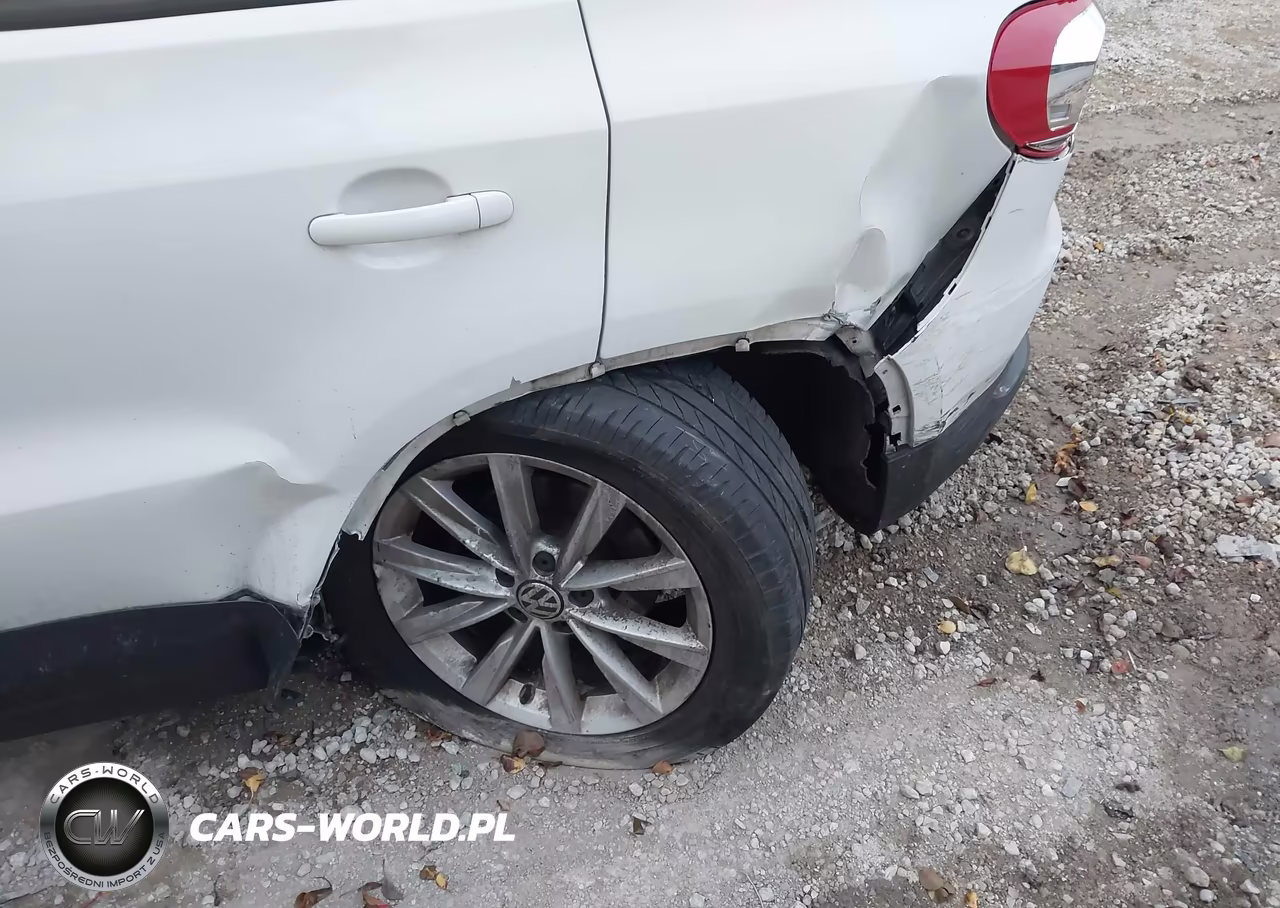 2017 Volkswagen Tiguan 2.0T-2.0T S VIN:WVGBV7AX8HK047237 - 17