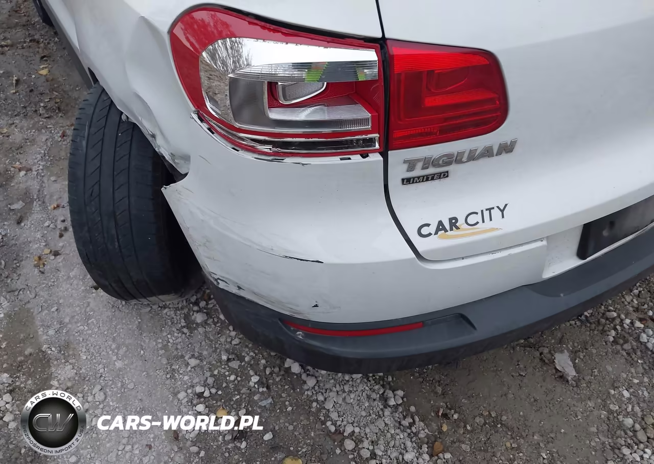 2017 Volkswagen Tiguan 2.0T-2.0T S VIN:WVGBV7AX8HK047237 - 18