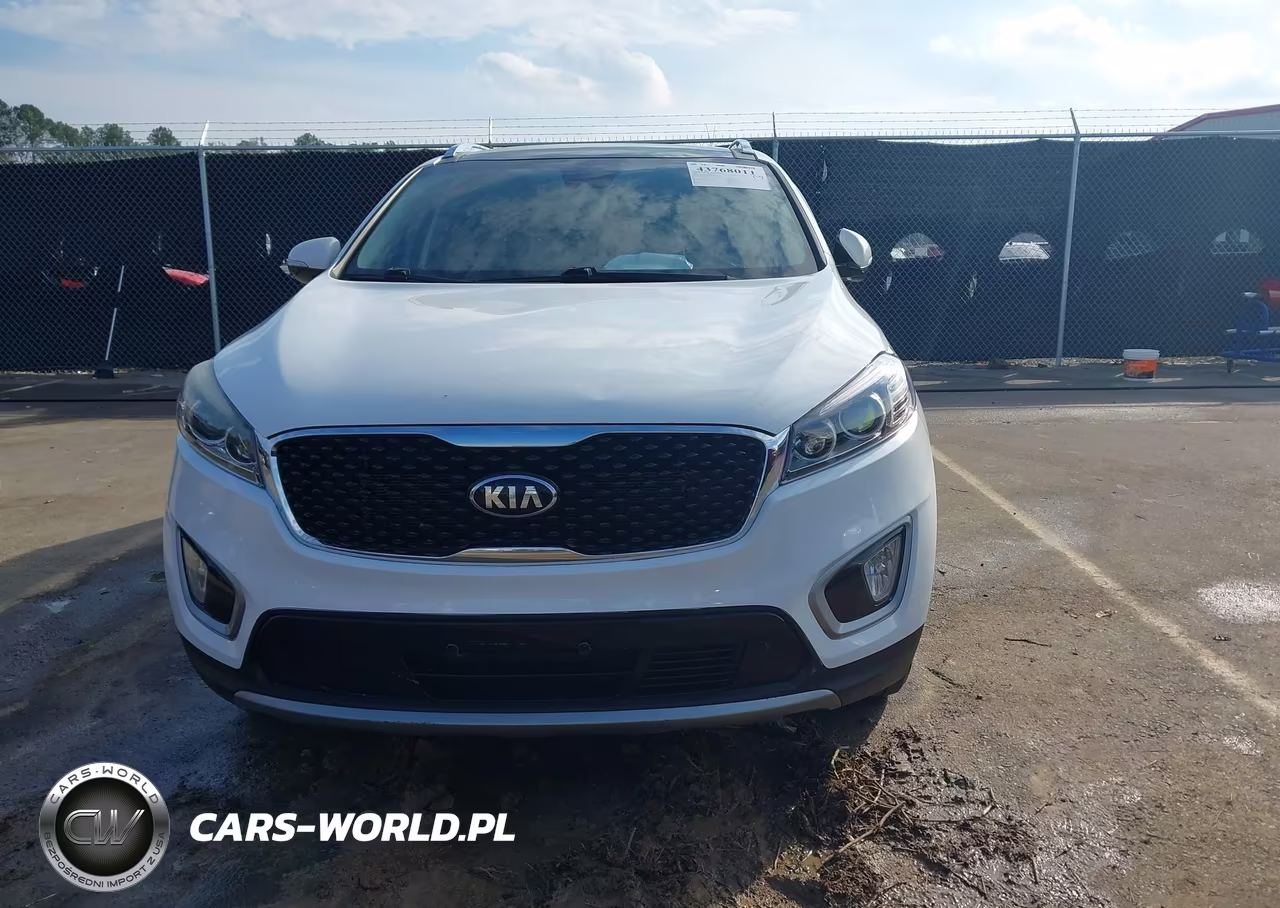 2018 Kia Sorento 3.3L Ex VIN:5XYPH4A50JG420989 - 12