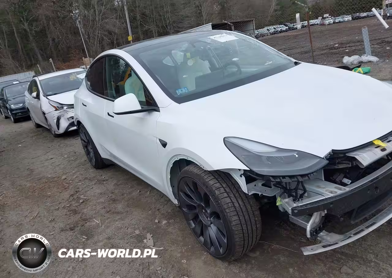 2024 Tesla Model Y Performance Dual Motor All-Wheel Drive