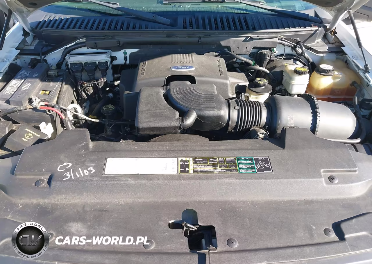 2003 Ford Expedition Xlt VIN:1FMPU16L73LB31645 - 10