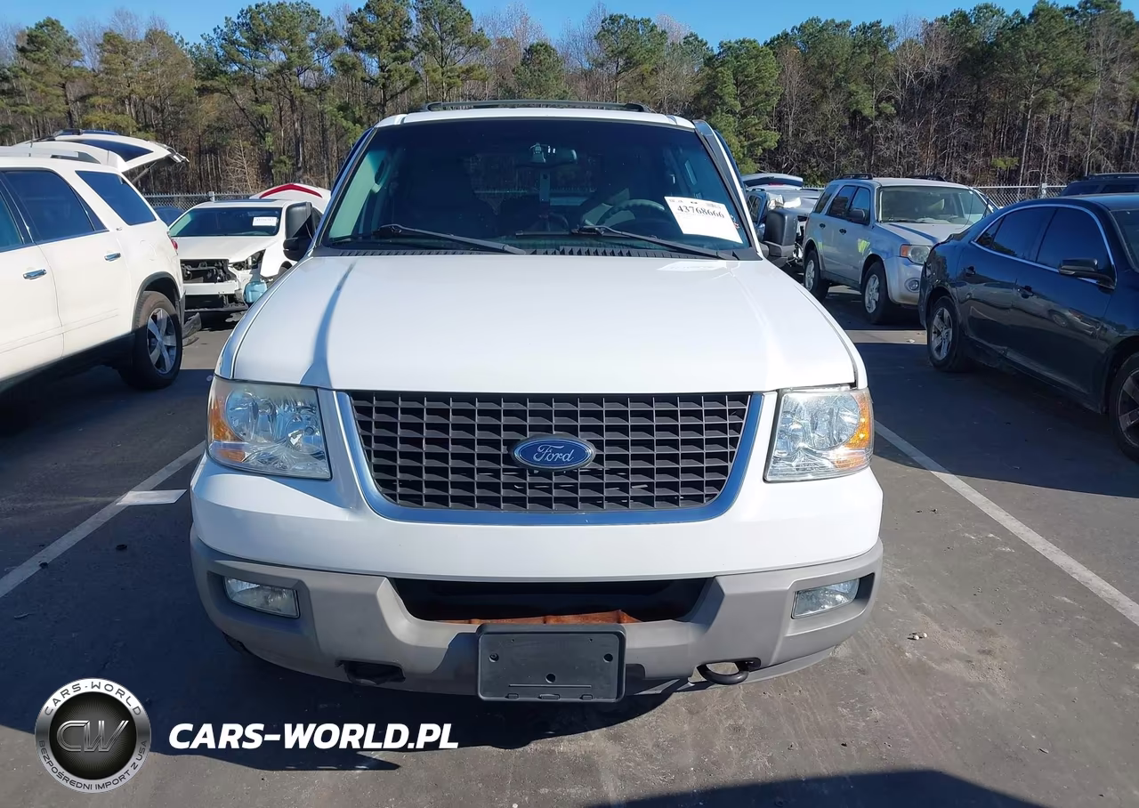 2003 Ford Expedition Xlt VIN:1FMPU16L73LB31645 - 12