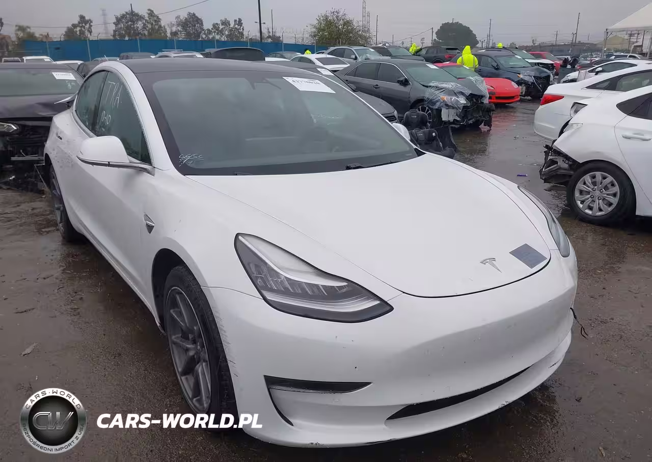2020 Tesla Model 3 Standard Range Plus Rear-Wheel Drive-Standard Range Rear-Wheel Drive