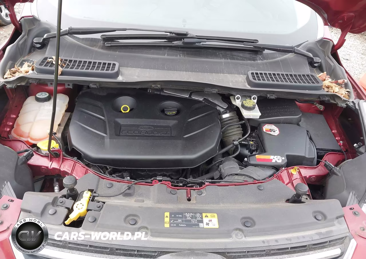 2013 Ford Escape Sel VIN:1FMCU0H95DUA46809 - 10