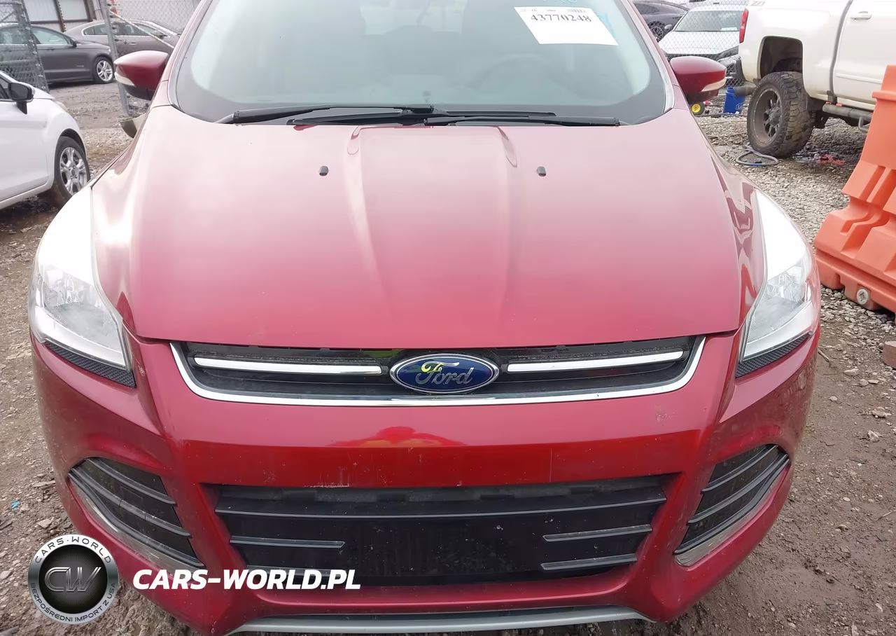 2013 Ford Escape Sel VIN:1FMCU0H95DUA46809 - 12