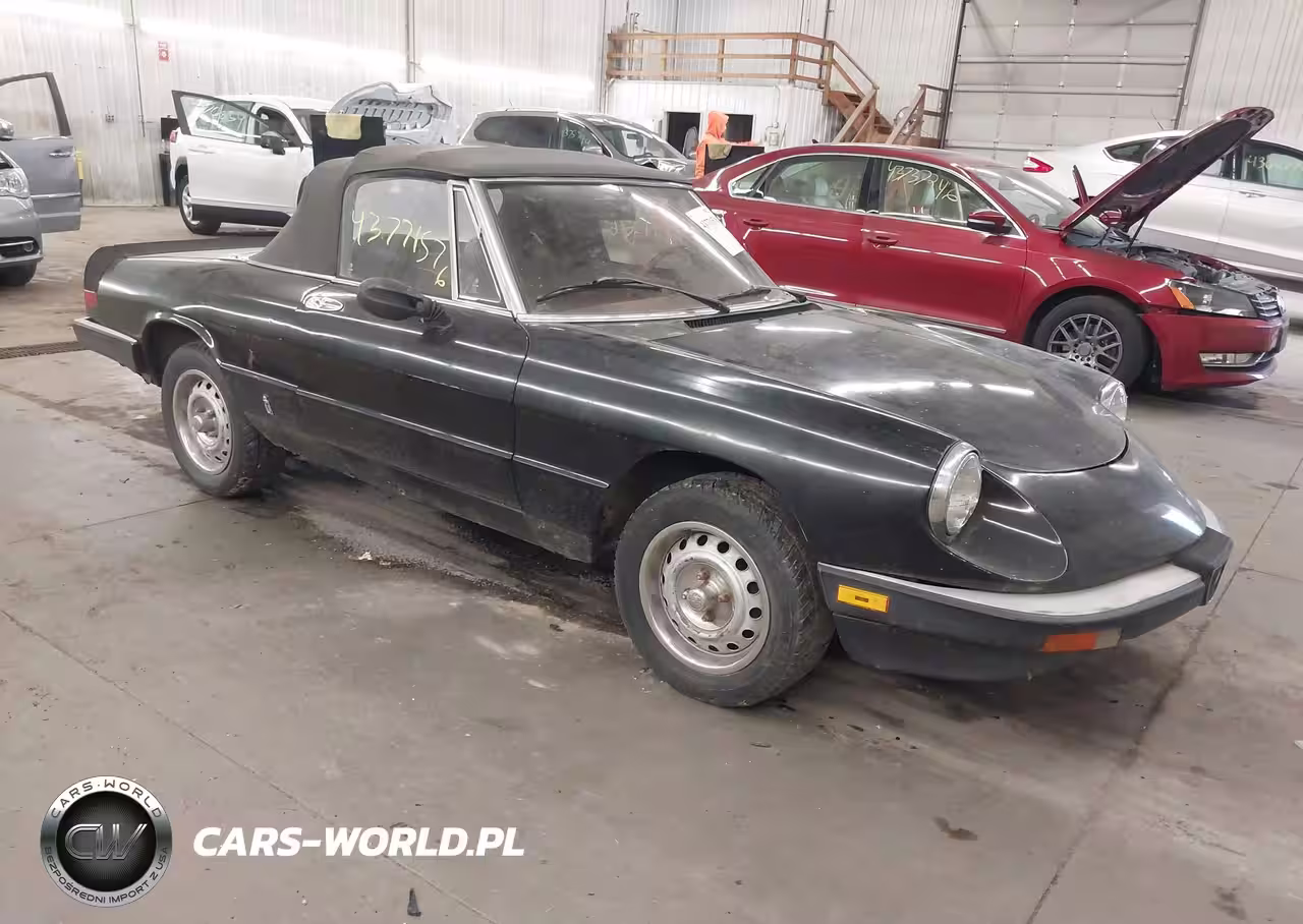 1985 Alfa Romeo Veloce 2000 Spider