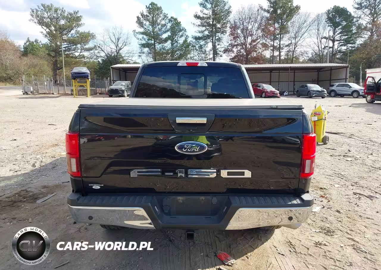 2019 Ford F-150 Xlt VIN:1FTFW1E57KFA78116 - 16