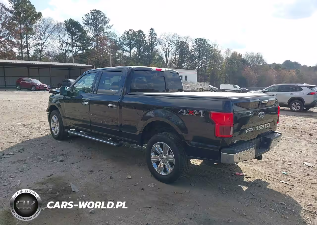 2019 Ford F-150 Xlt VIN:1FTFW1E57KFA78116 - 3