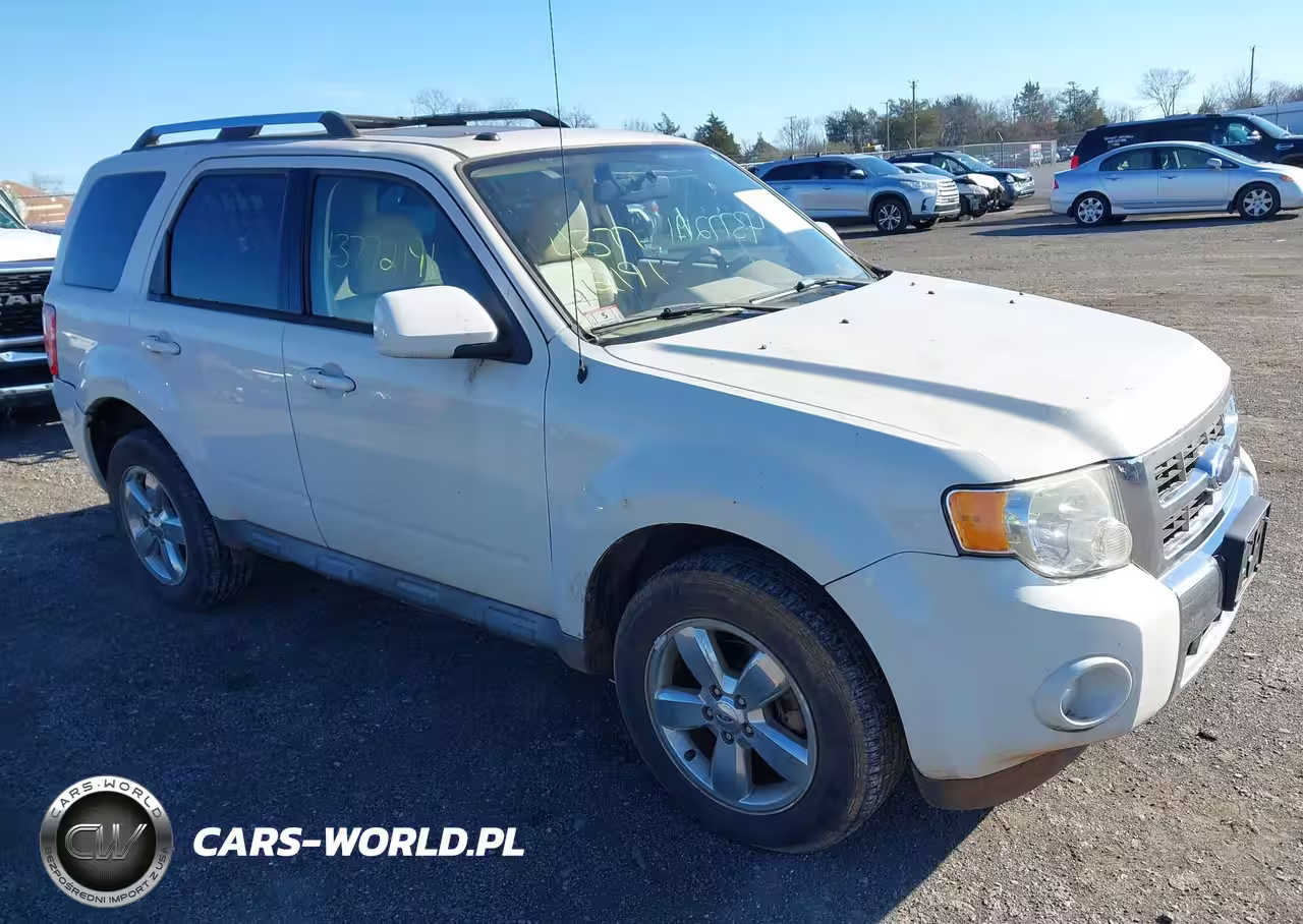 2010 Ford Escape Limited