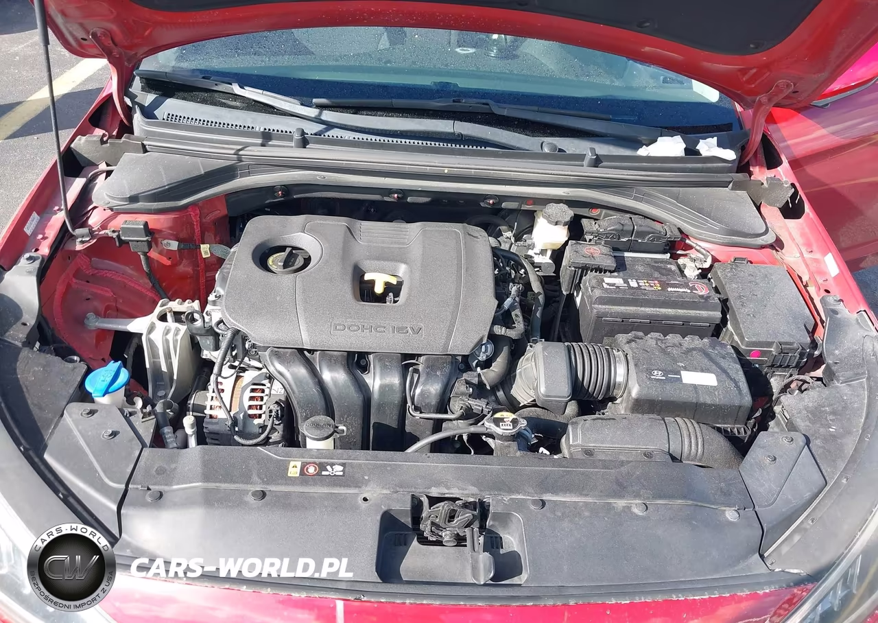 2019 Hyundai Elantra Sel VIN:KMHD84LF5KU771238 - 10