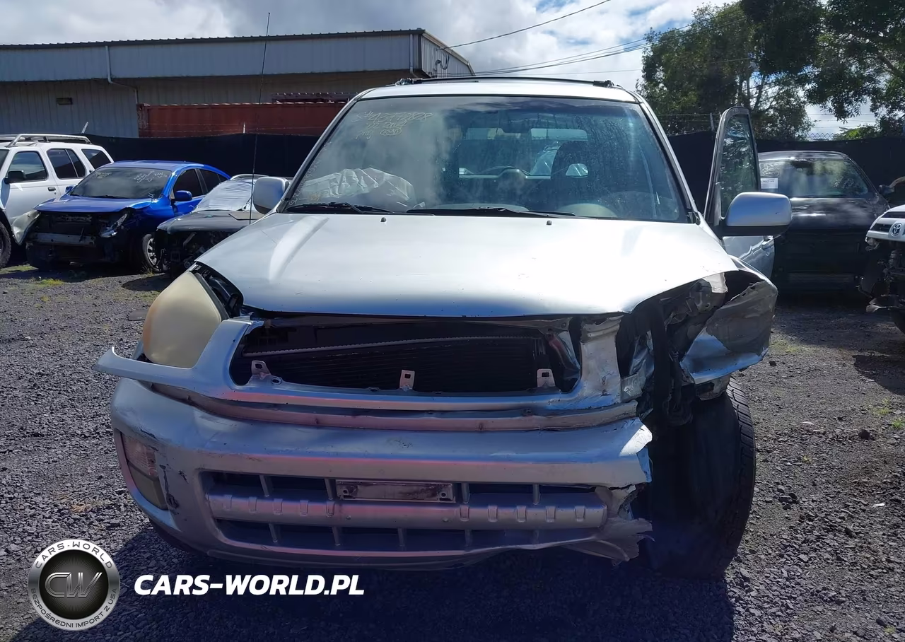 2002 Toyota Rav4 VIN:JTEGH20V520066539 - 12