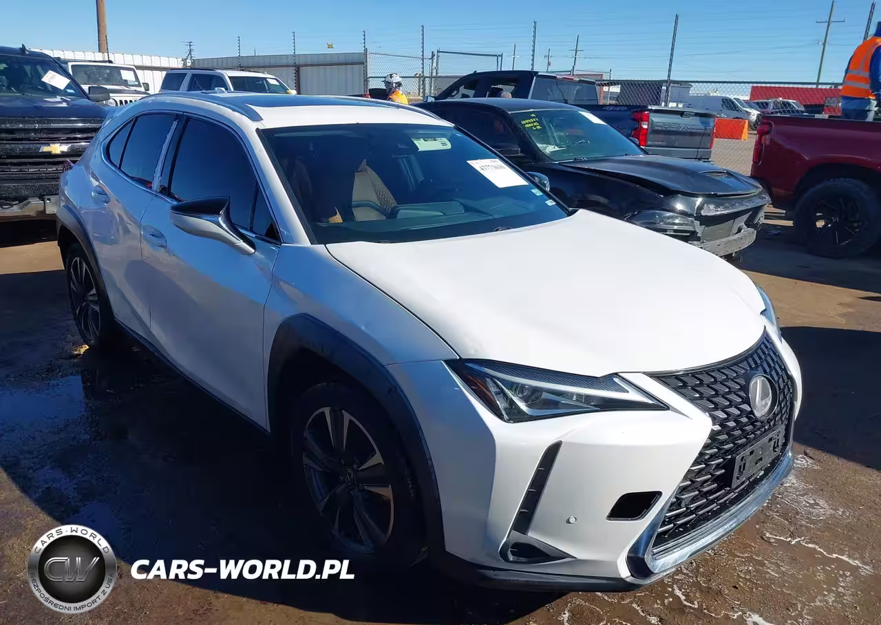 2019 Lexus Ux 200