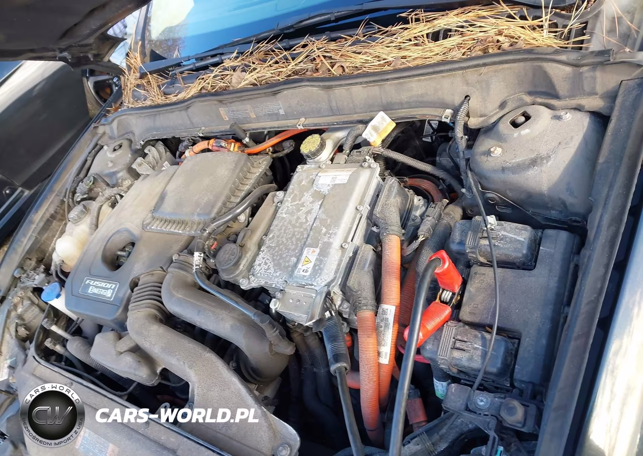 2013 Ford Fusion Energi Se Luxury VIN:3FA6P0PU1DR270638 - 10