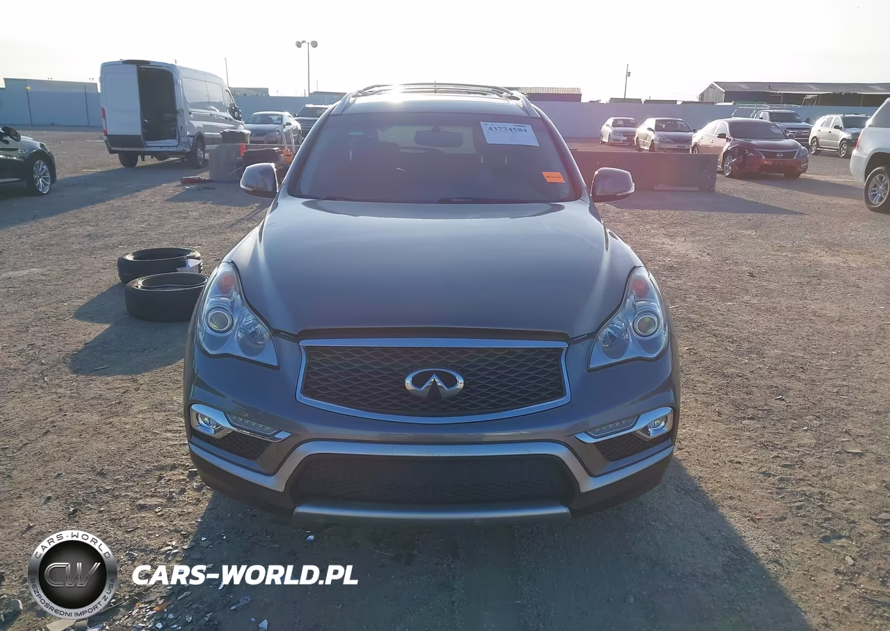 2017 Infiniti Qx50 VIN:JN1BJ0RP6HM390261 - 13