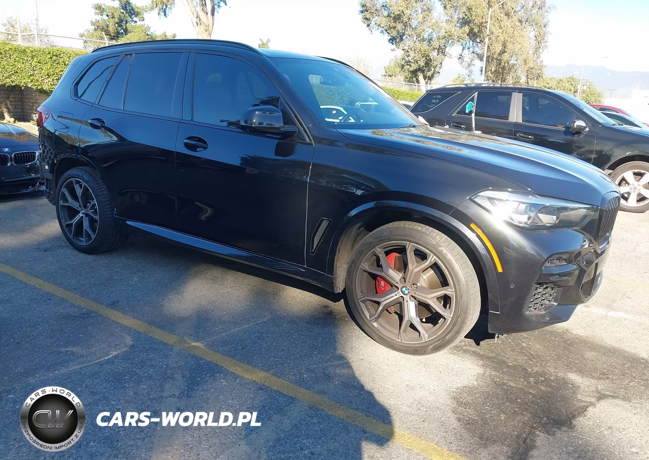 2023 BMW X5 Sdrive40I – zdjęcie 1 z 17