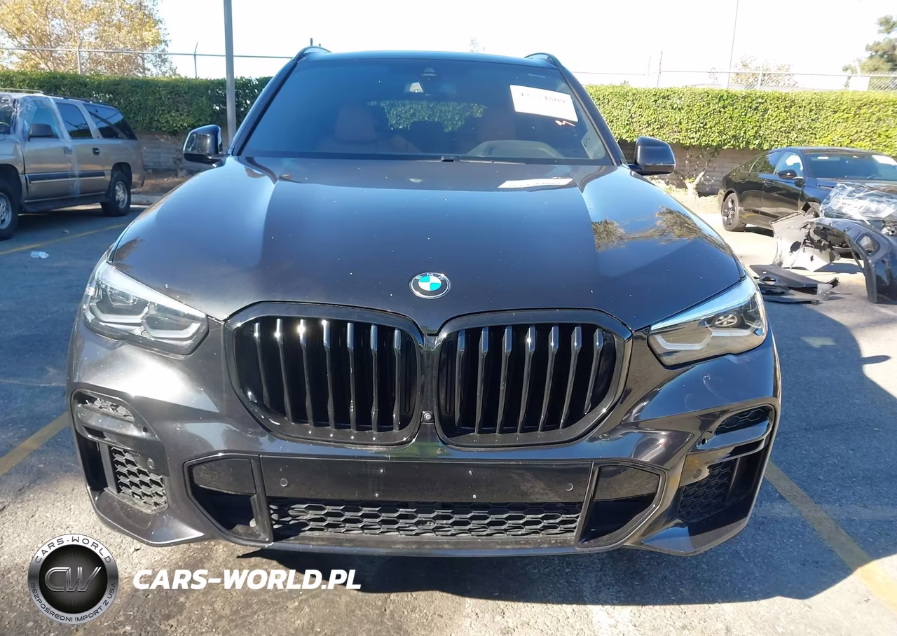 2023 BMW X5 Sdrive40I VIN:5UXCR4C07P9R10285 - 13