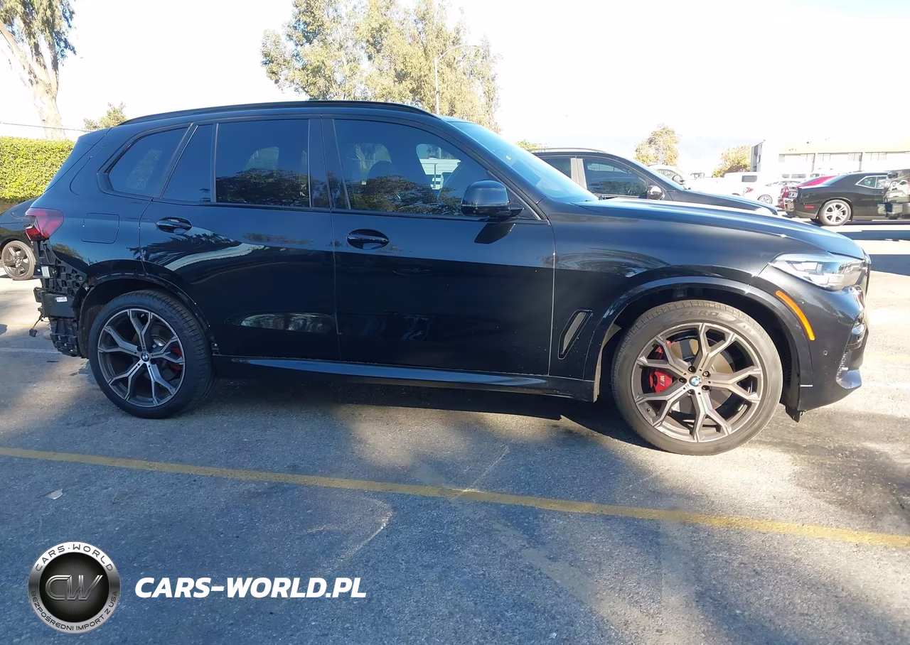 2023 BMW X5 Sdrive40I VIN:5UXCR4C07P9R10285 - 14