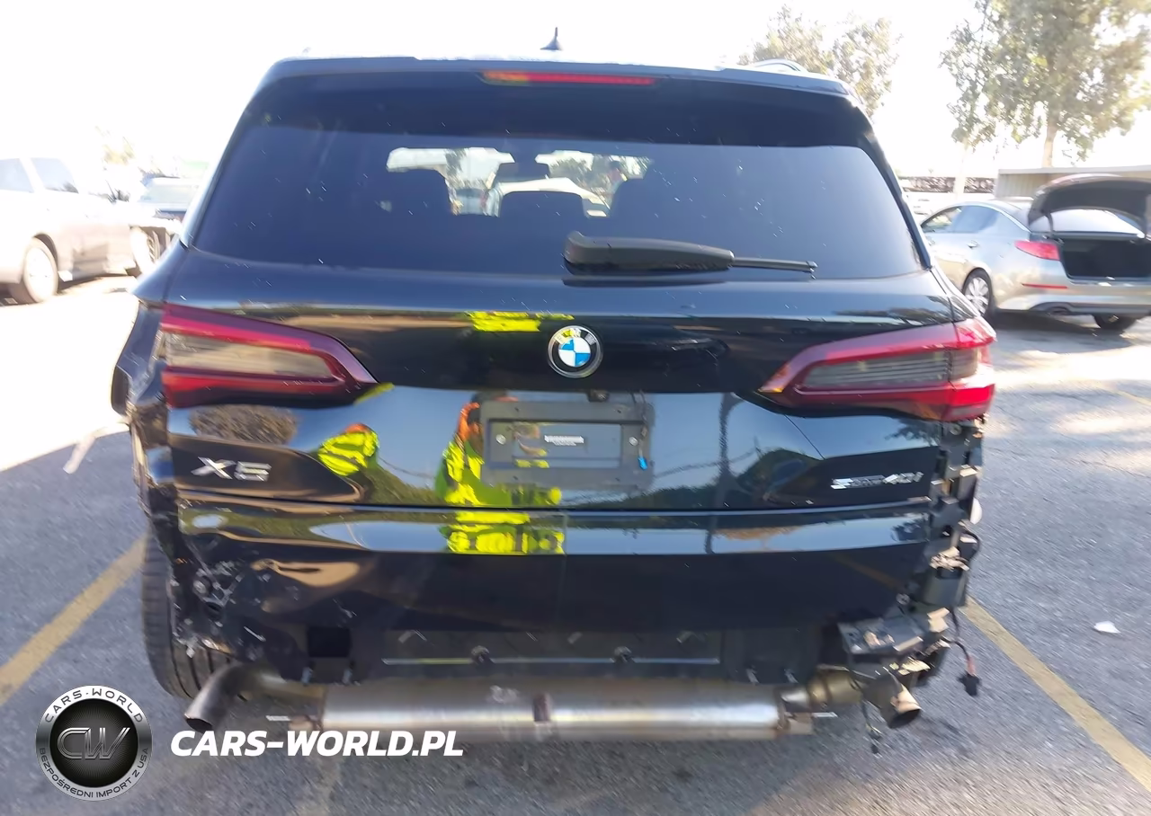 2023 BMW X5 Sdrive40I VIN:5UXCR4C07P9R10285 - 17