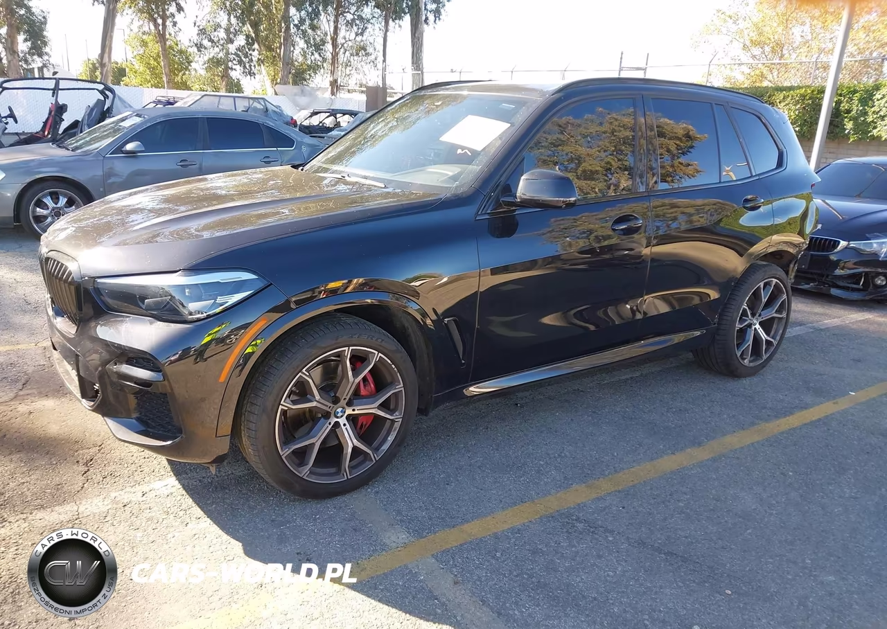 2023 BMW X5 Sdrive40I VIN:5UXCR4C07P9R10285 - 2