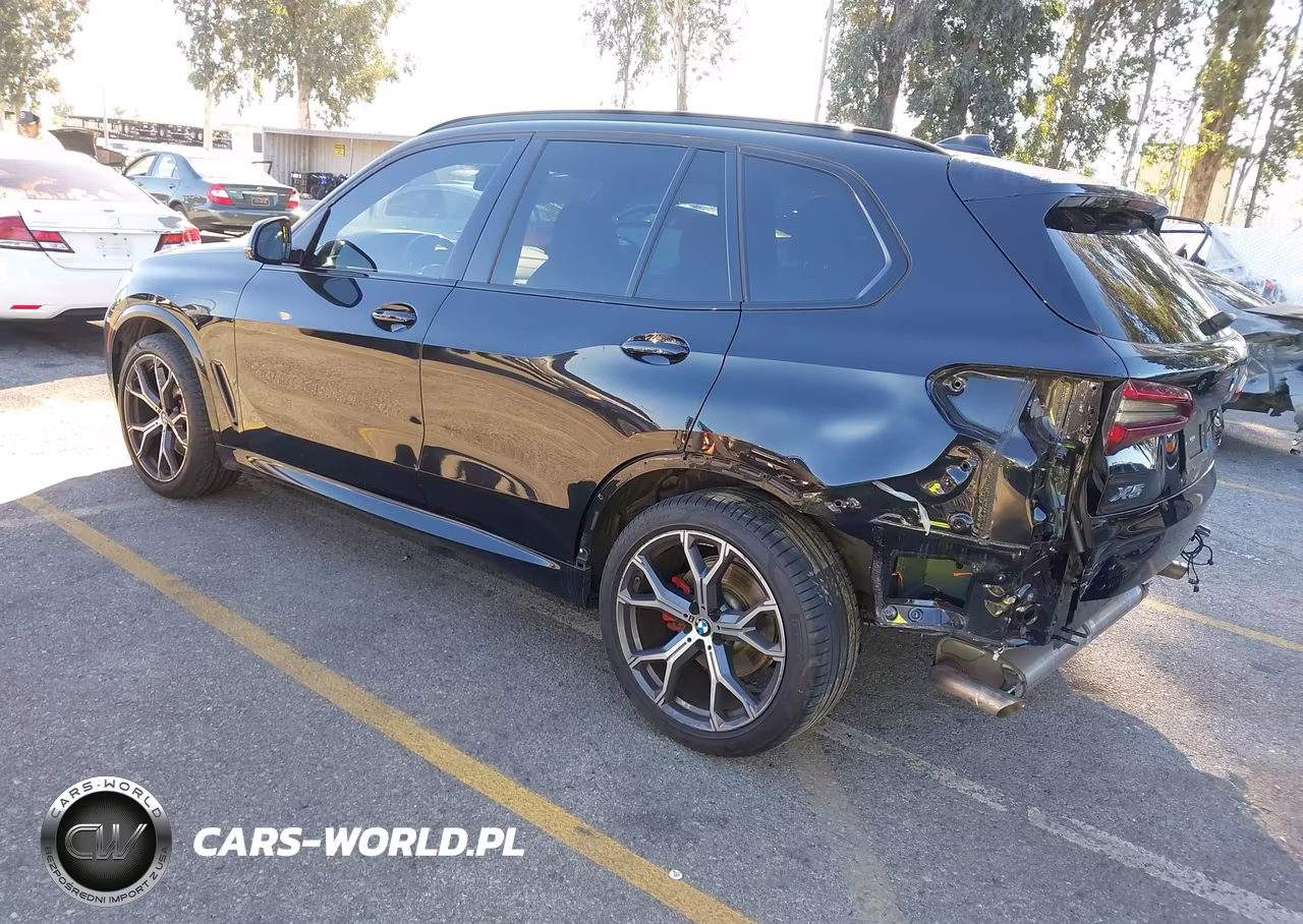 2023 BMW X5 Sdrive40I VIN:5UXCR4C07P9R10285 - 3