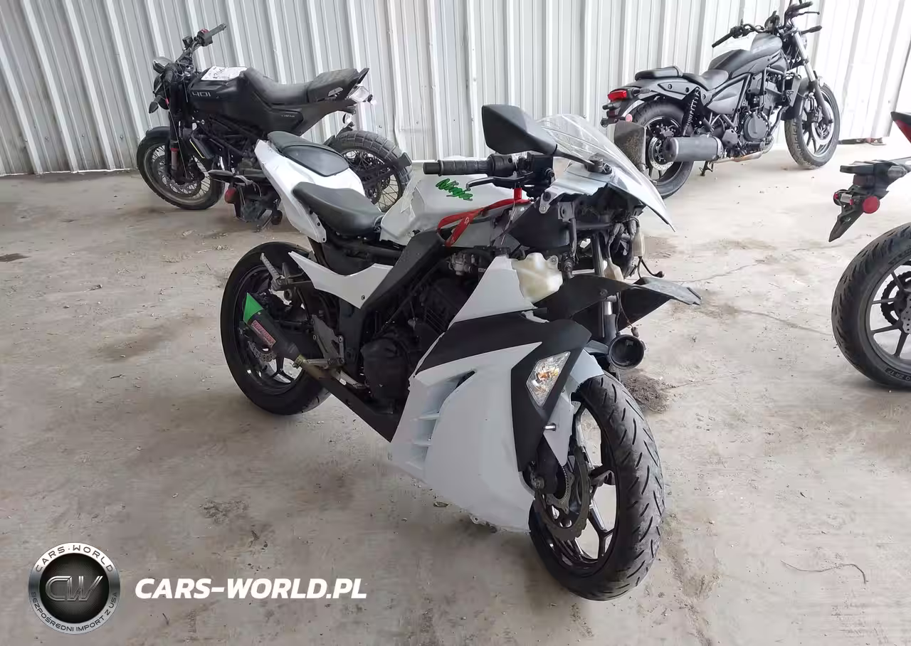 2015 Kawasaki Ex300 B