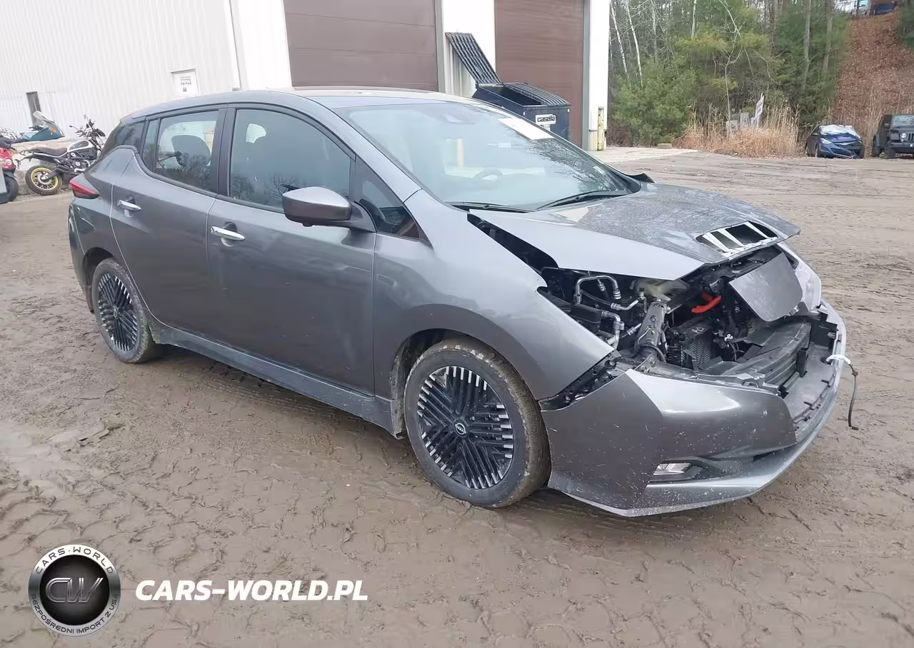 2025 Nissan Leaf Sv Plus