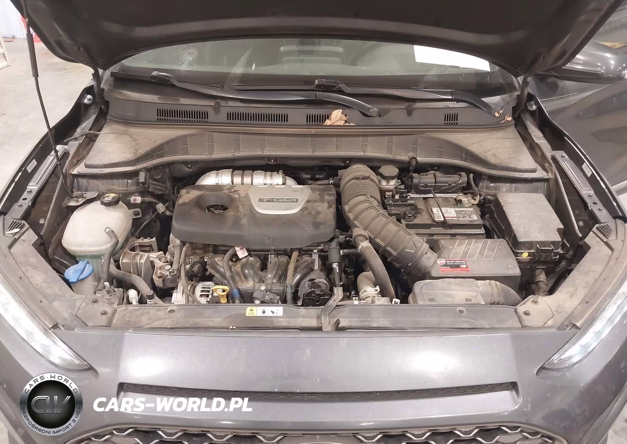 2019 Hyundai Kona Limited VIN:KM8K3CA56KU264844 - 10
