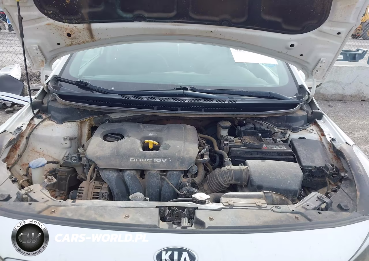 2017 Kia Forte Lx VIN:3KPFL4A75HE137412 - 10