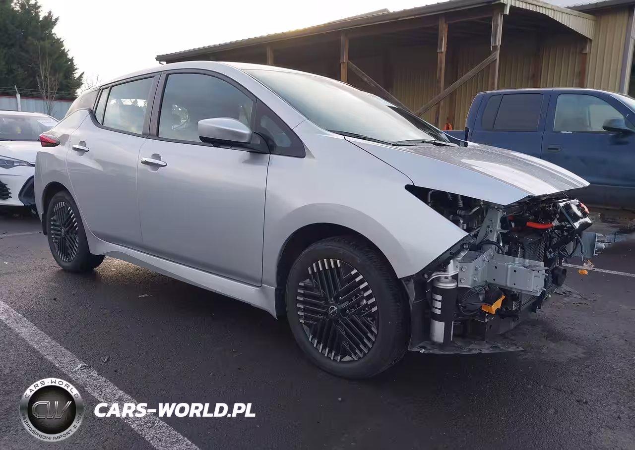 2024 Nissan Leaf Sv Plus