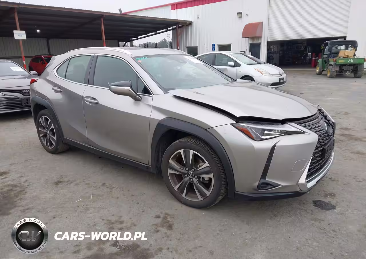 2019 Lexus Ux 200