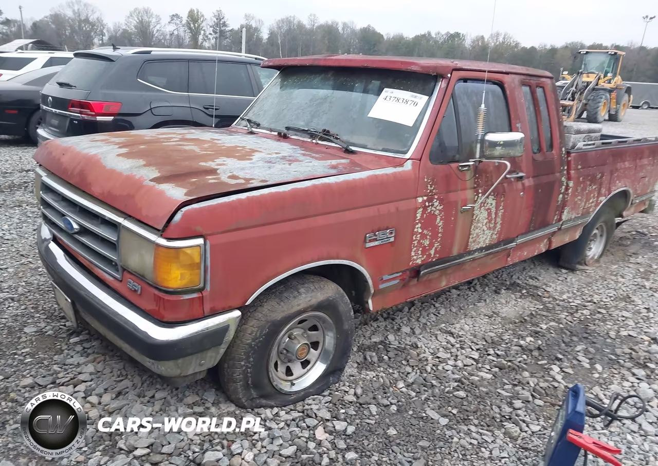 1991 Ford F150 VIN:1FTEX15N0MKA10727 - 2