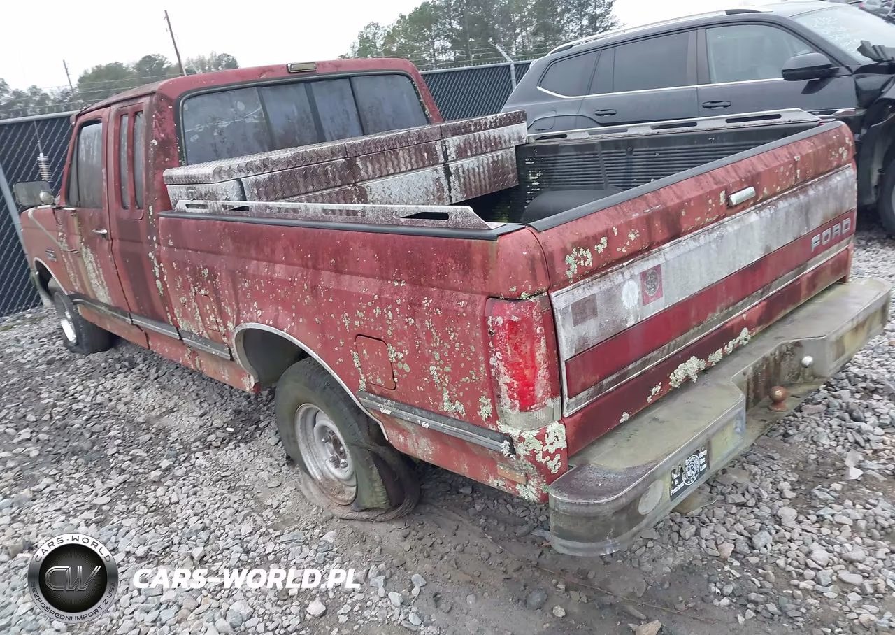 1991 Ford F150 VIN:1FTEX15N0MKA10727 - 3