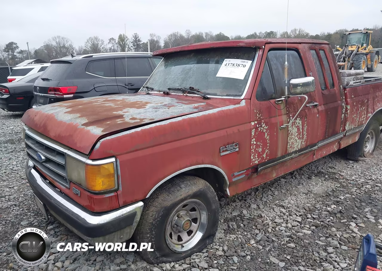1991 Ford F150 VIN:1FTEX15N0MKA10727 - 6