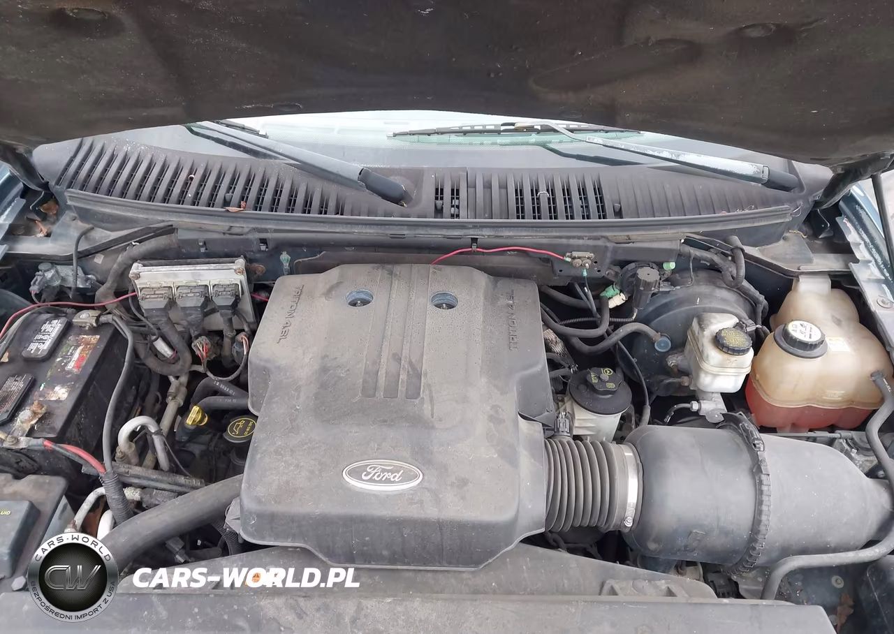 2004 Ford Expedition Xlt VIN:1FMPU16W34LA88269 - 10