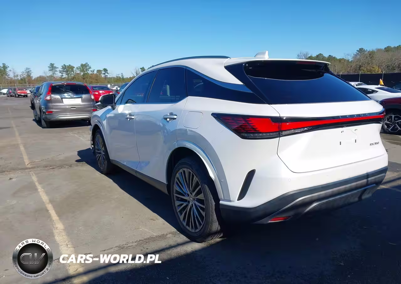 2024 Lexus Rx 350 Luxury VIN:2T2BAMBA7RC034616 - 3