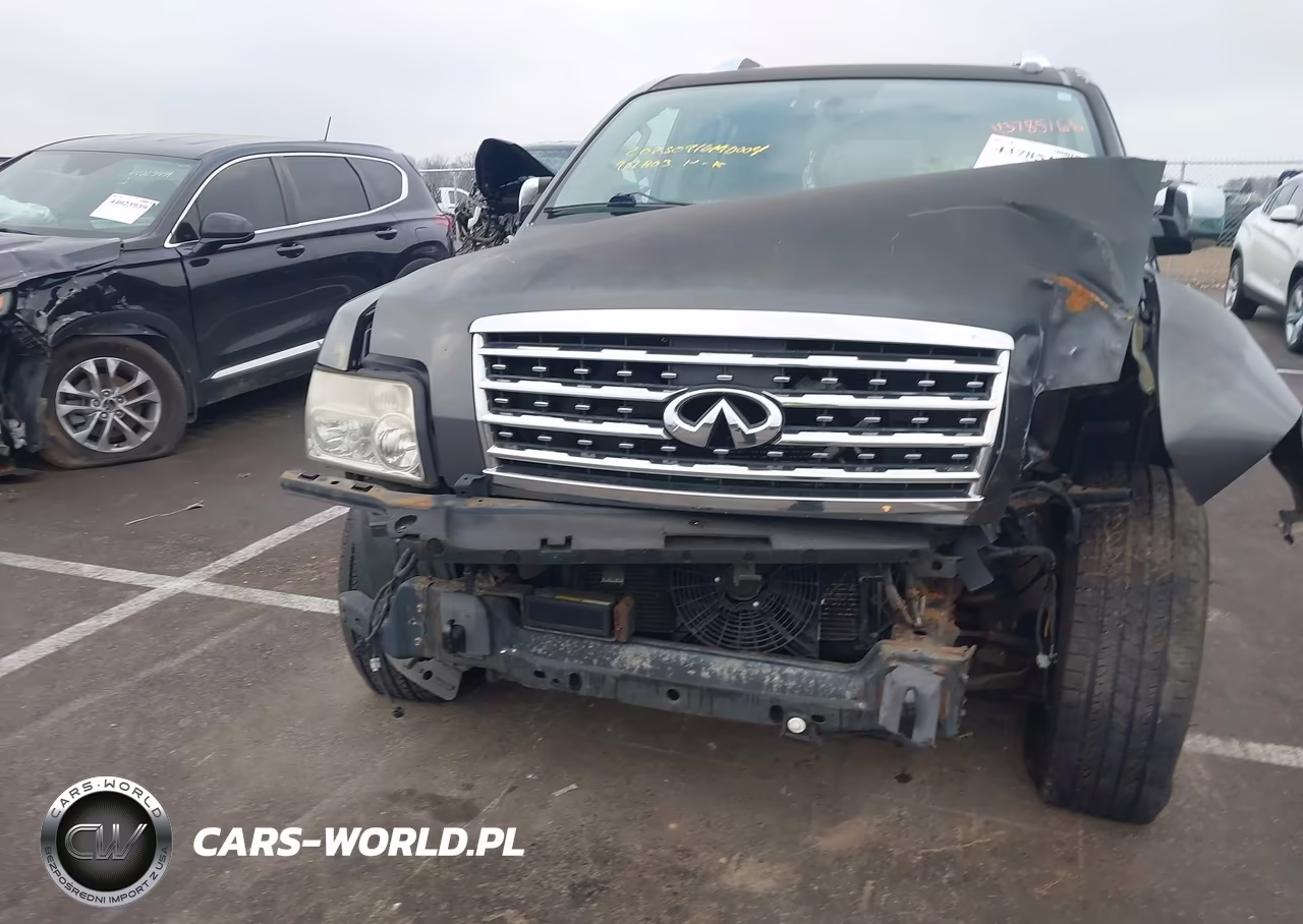 2010 Infiniti Qx56 VIN:5N3ZA0NC1AN902803 - 11