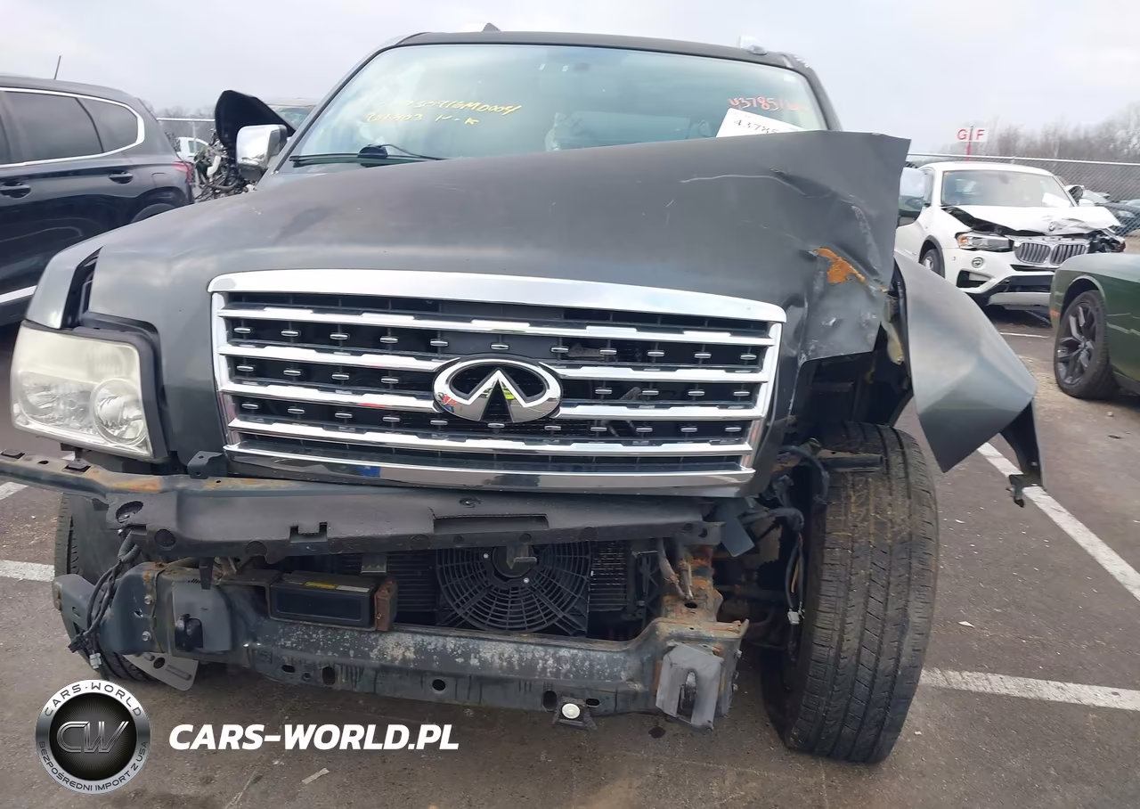 2010 Infiniti Qx56 VIN:5N3ZA0NC1AN902803 - 6
