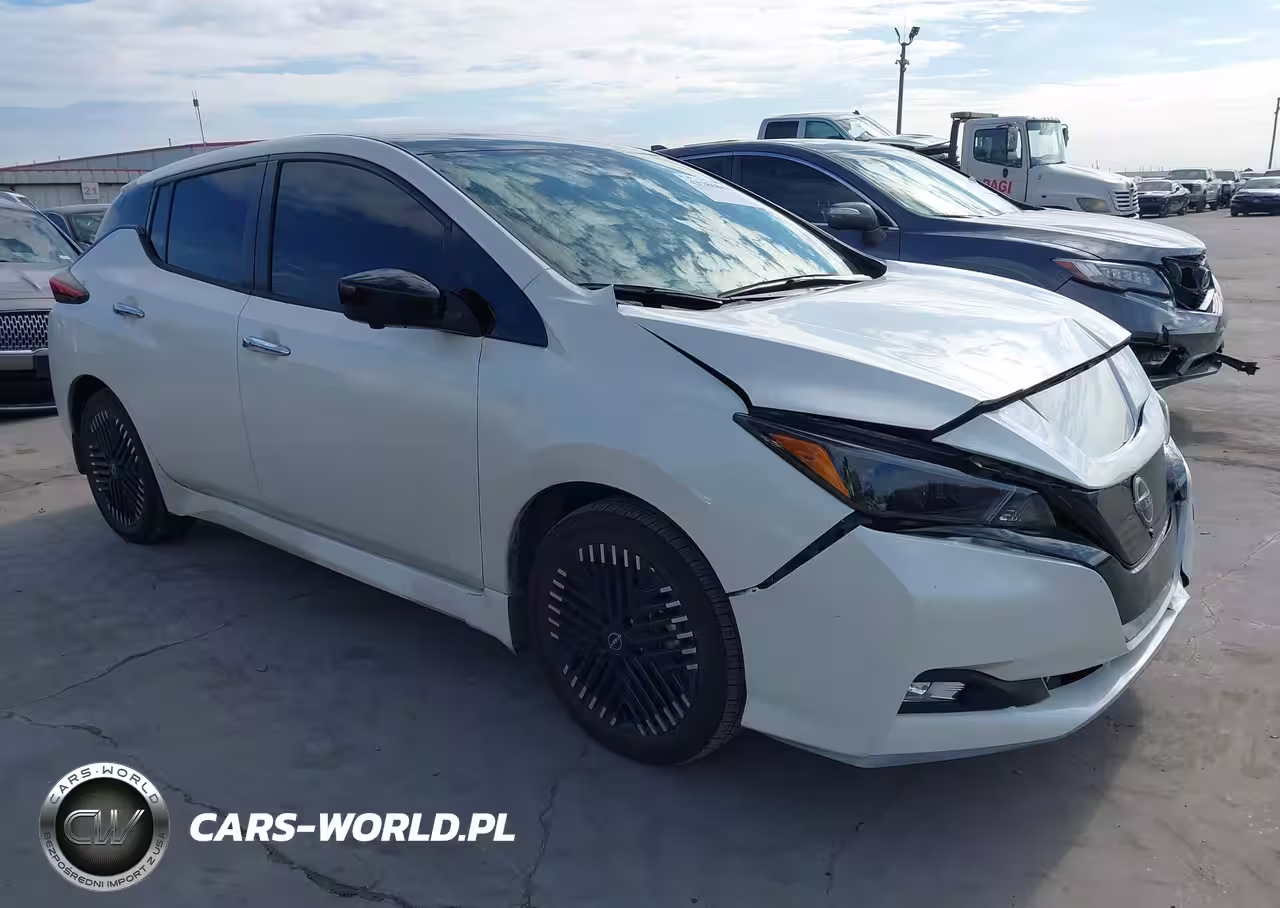 2025 Nissan Leaf Sv Plus