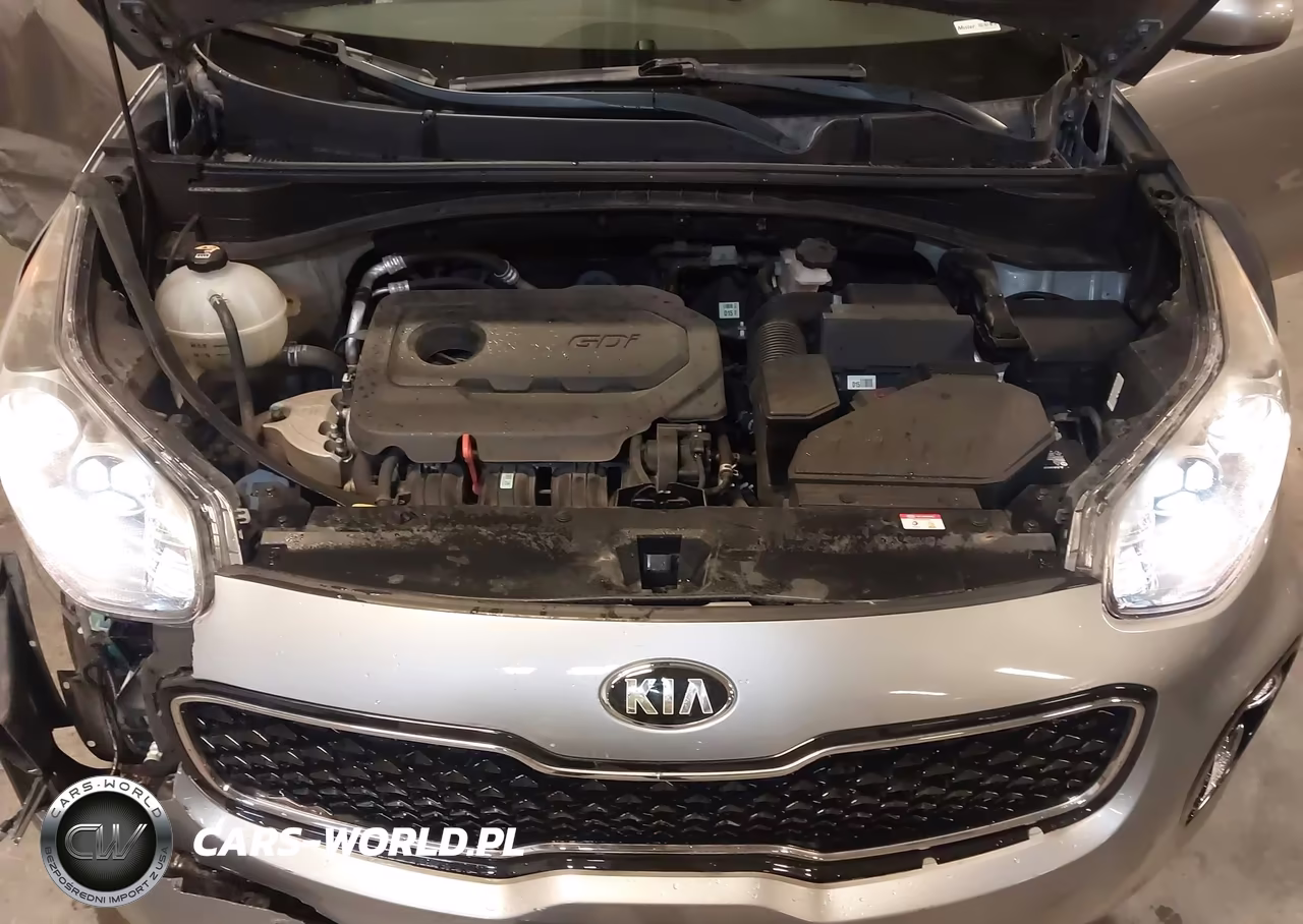 2019 Kia Sportage Lx VIN:KNDPMCAC6K7579096 - 10
