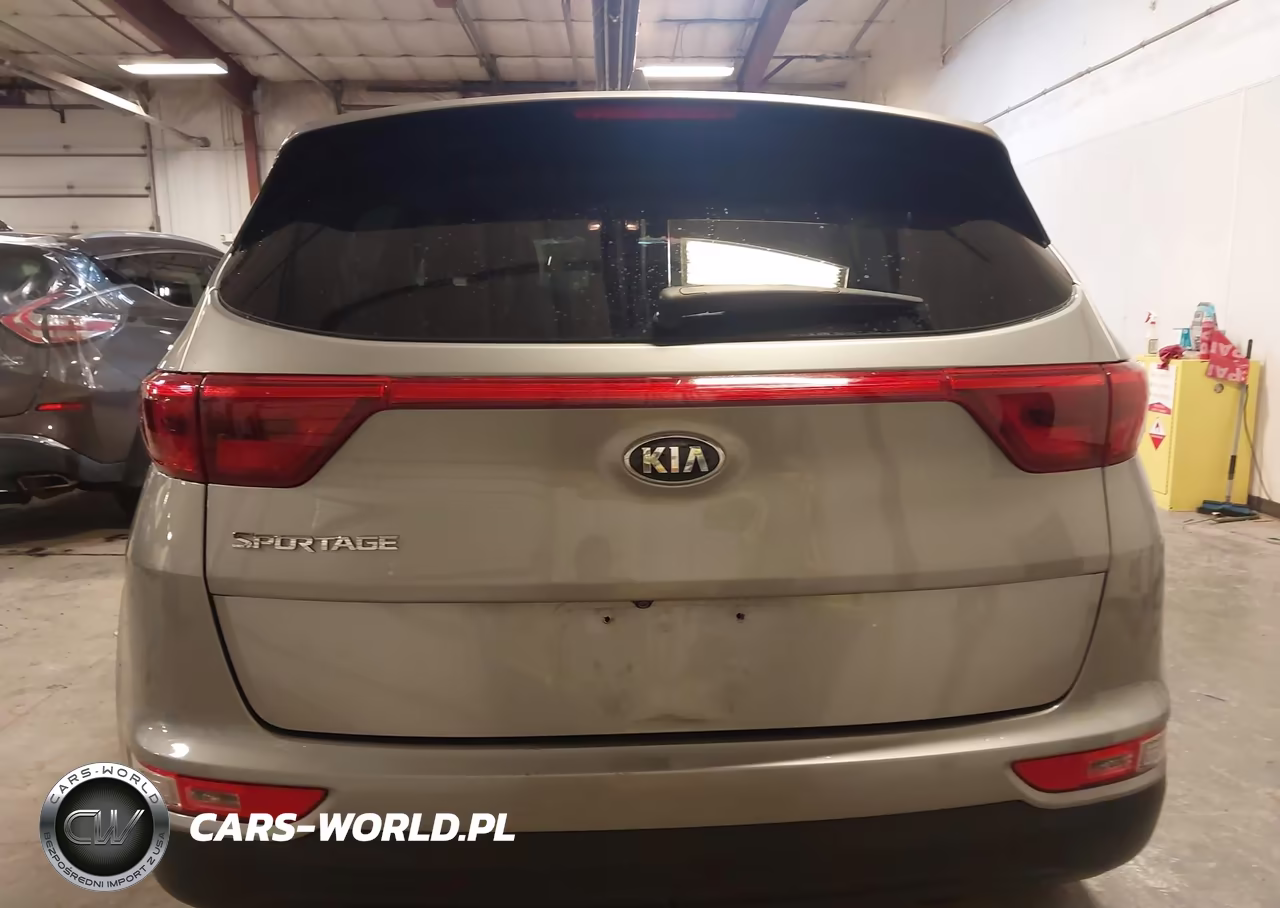 2019 Kia Sportage Lx VIN:KNDPMCAC6K7579096 - 17