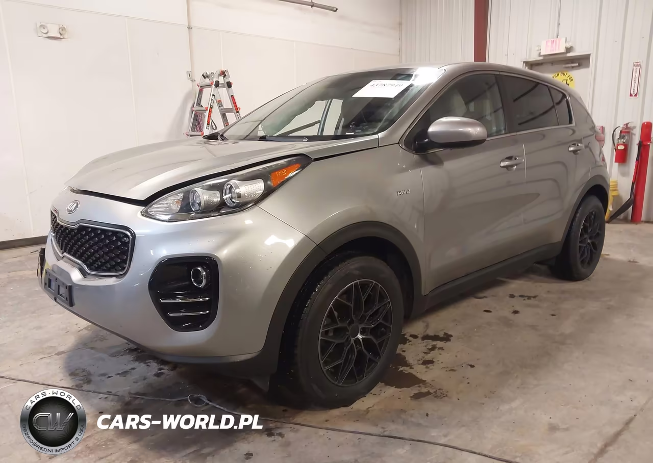 2019 Kia Sportage Lx VIN:KNDPMCAC6K7579096 - 2